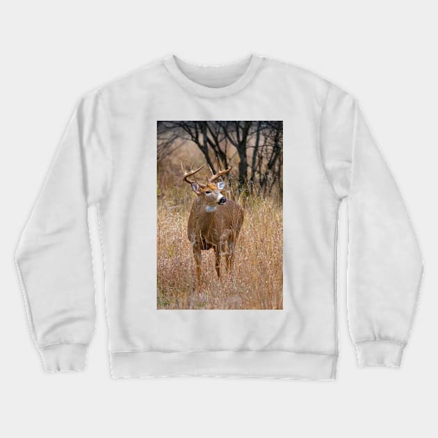 Blood Antlers - White tailed deer Buck Crewneck Sweatshirt by Jim Cumming